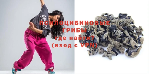 гидра Кемь