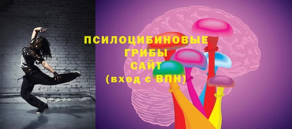 хмурый Пересвет