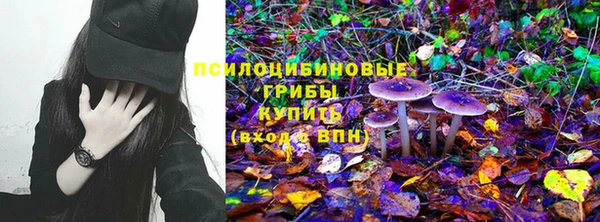 прущая мука Осинники