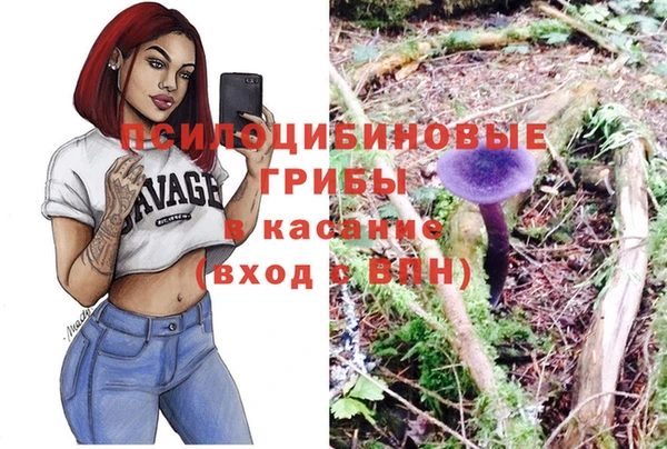 хмурый Пересвет