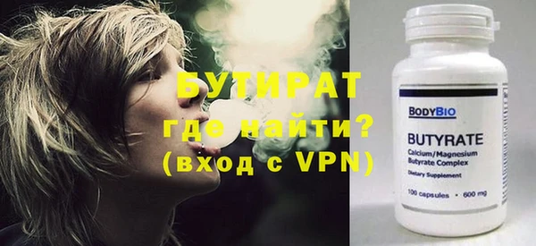 хмурый Пересвет